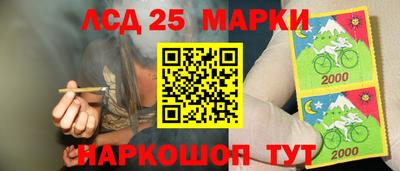 молекула духа Краснознаменск