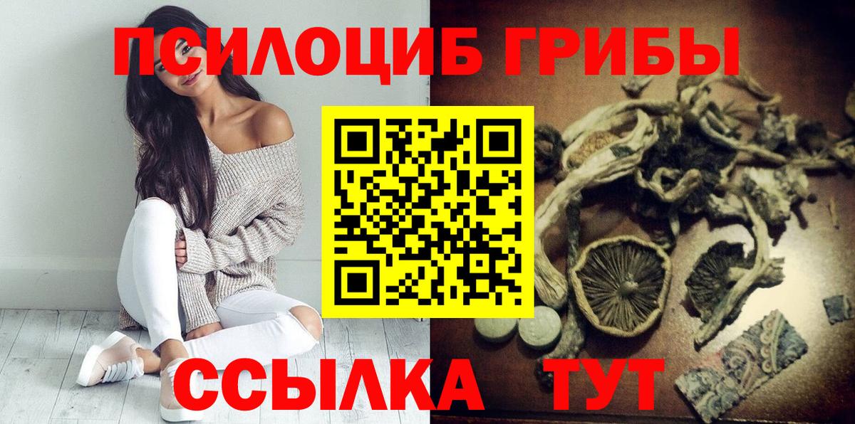Галлюциногенные грибы MAGIC MUSHROOMS  Вход с VPN  Кизляр 